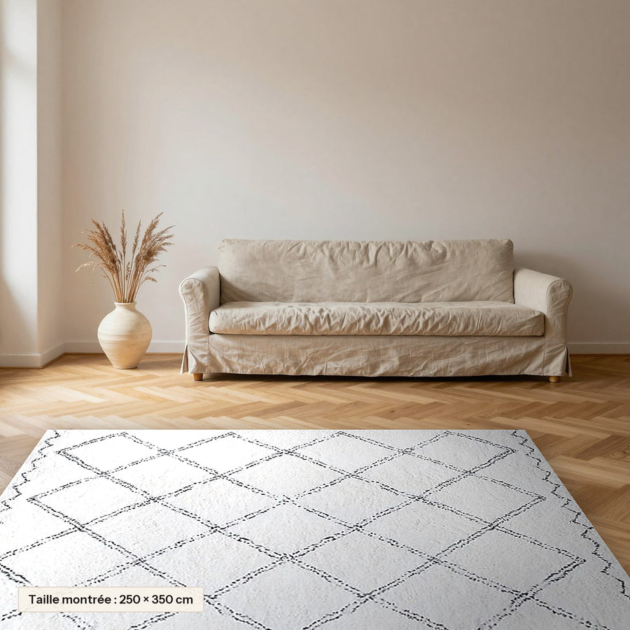 Tapis Beni Ouarain Tilelli, écru et gris, losanges posé dans un salon, taille 250 × 350 cm