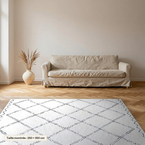 Tapis Beni Ouarain Tilelli, écru et gris, losanges posé dans un salon, taille 250 × 350 cm